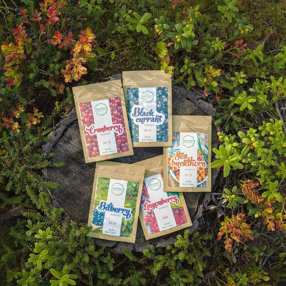 BERRY POWDER WORLD Nordic gift set - Natural Nordic