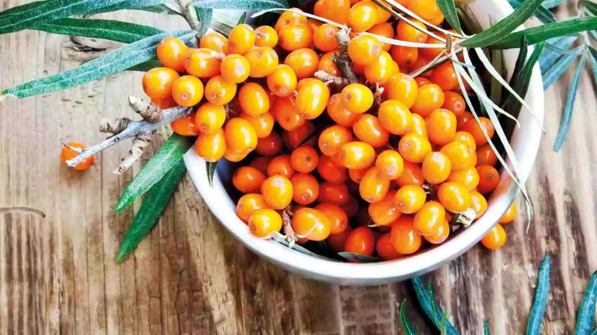 Natural Nordic sea buckthorn berries