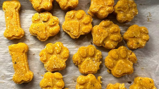 Natural Nordic nettle-lingonberry flavored dog treats