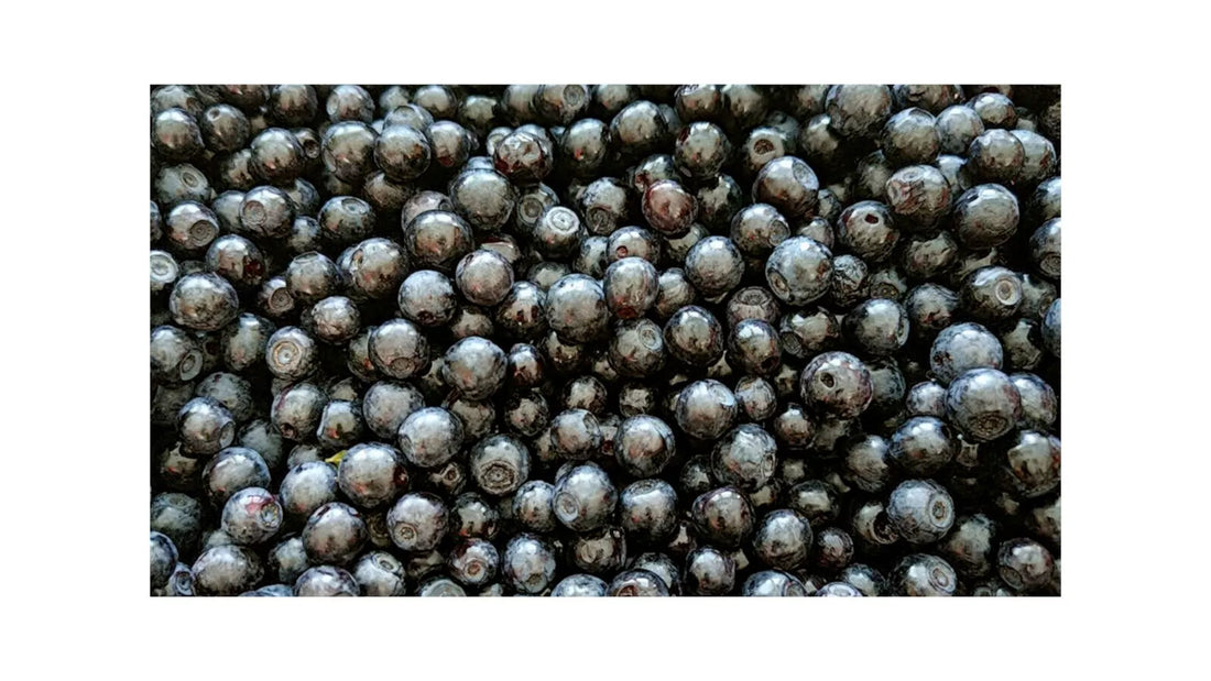 Different drying methods – a practical overview - Natural Nordic