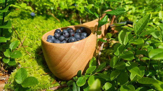 Bilberry (Vaccinium myrtillus) - Natural Nordic