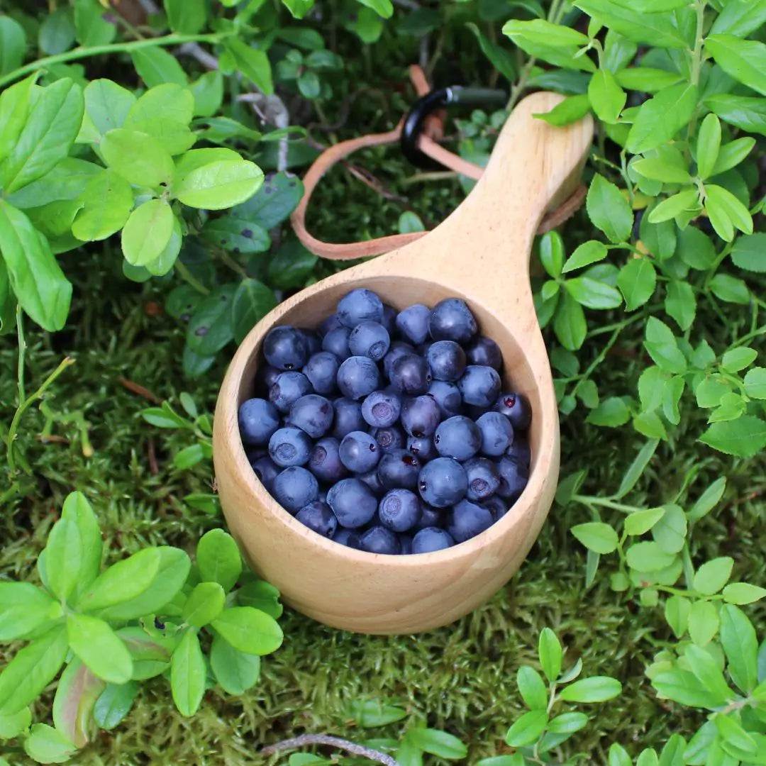 Natural Nordic bilberries in kuksa