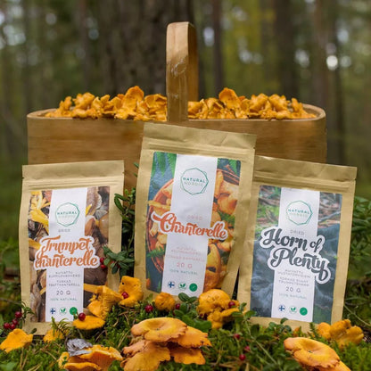 SECRETS OF MUSHROOM DELICACIES - Natural Nordic