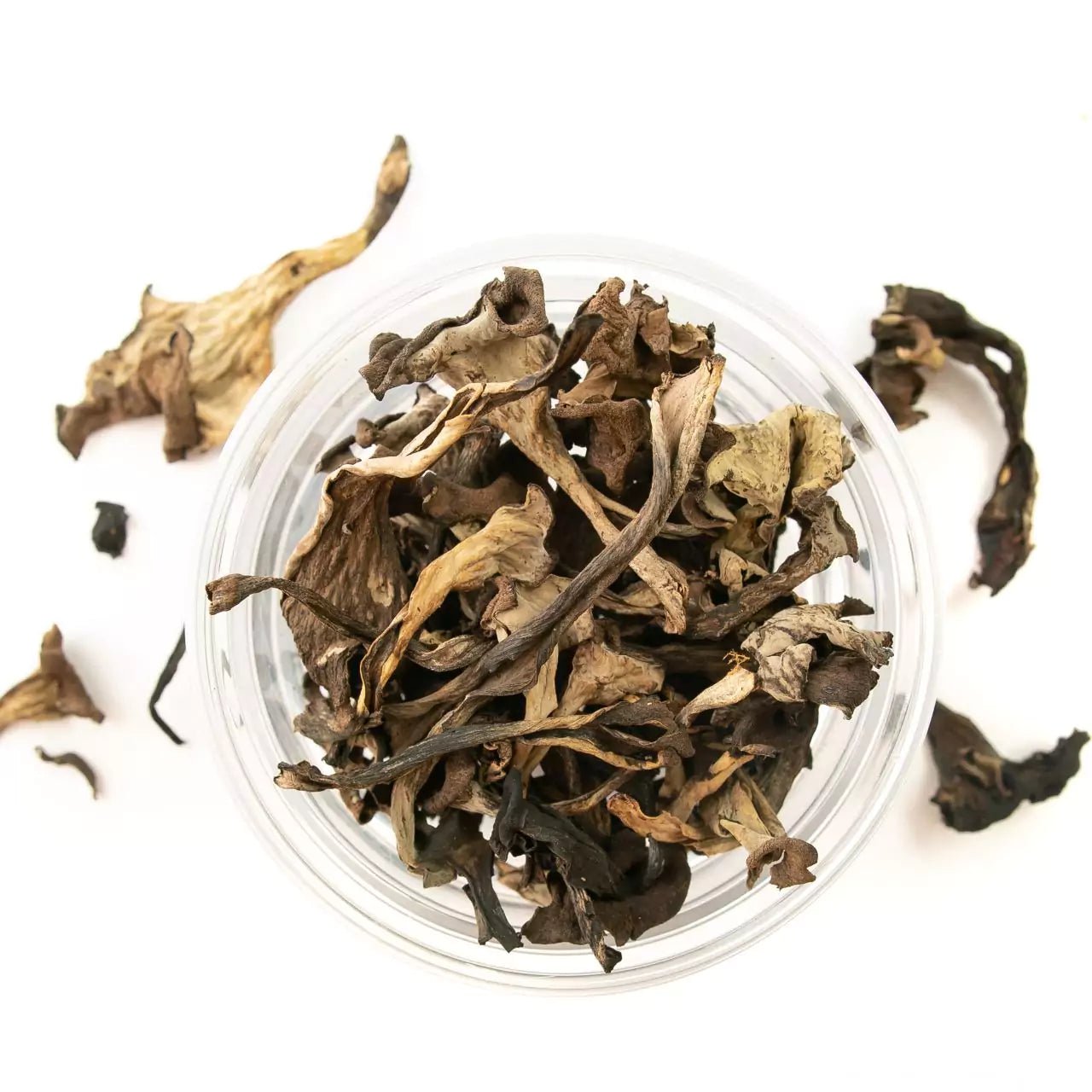 HORN OF PLENTY - Natural Nordic